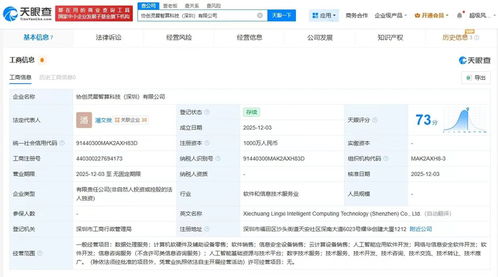 協(xié)創(chuàng)數(shù)據(jù)深圳成立靈犀智算公司，深化布局數(shù)據(jù)處理服務新藍海